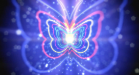 Butterfly Lights Animation - 090324004