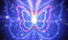 Butterfly Lights Animation 130724001