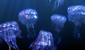 Diamond Jellyfish Floating Upwards 130724014