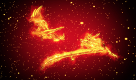 Dragon Phoenix Wedding Background 030724025