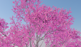 Pink Tree Leaves Background Loop 070724026