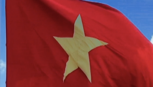 Cờ Tổ Quốc - Flag Viet Nam 003