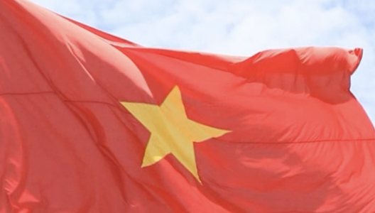 Cờ Tổ Quốc - Flag Viet Nam 008